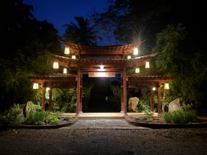 Arrêter de chercher pour mieux trouver